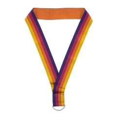 Disney Pin Lanyard - Epcot 35th - Reversible Wide