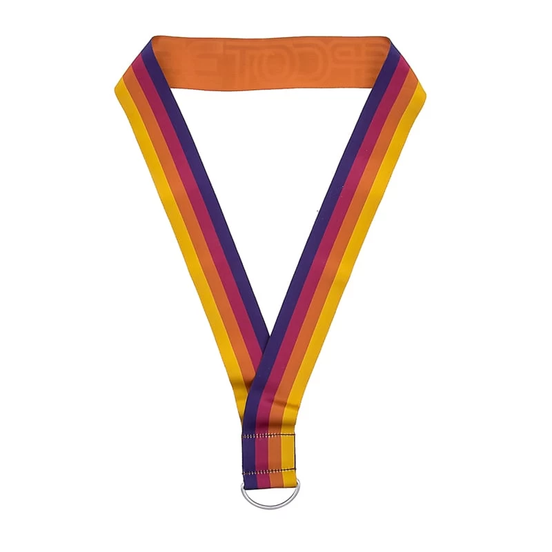 Disney Pin Lanyard - Epcot 35th - Reversible Wide